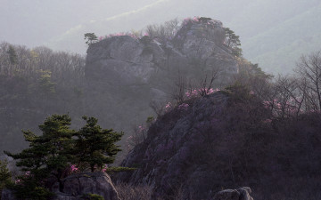 생애대(2017.04.23)