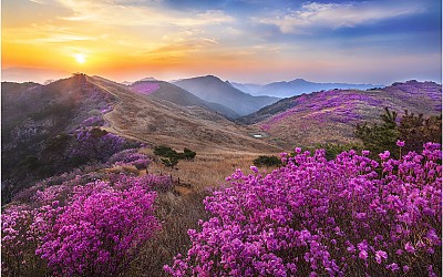 화왕산 !!!