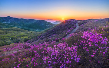 황매산이니뎌~!!