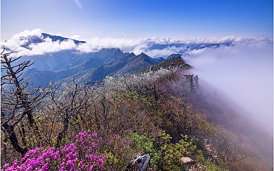 설악산 !!!