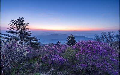 덕유산 여명이어라 !!!