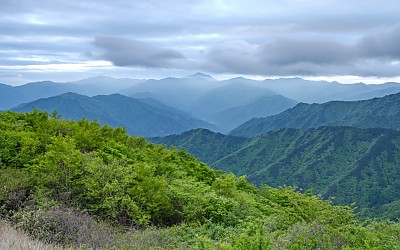 반야를 바라보다...