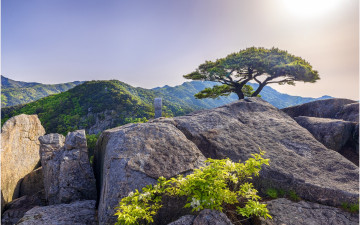 산정의 아침 !!!