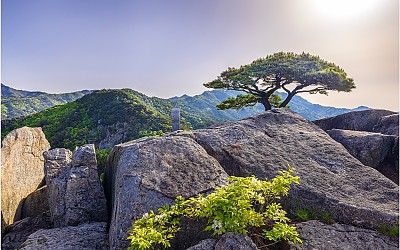 산정의 아침 !!!