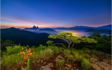 마이산 여명 !!!