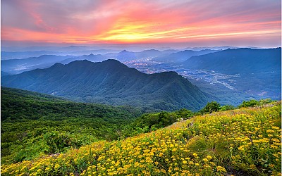 오도산 !!!
