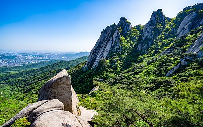 도봉산의 봄