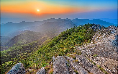 동봉이니뎌 !!!!