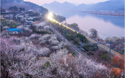 원동 순매원 !!!