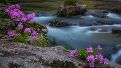 Image 128787