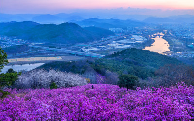와룡산 !!!