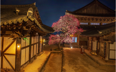 화엄사 야경
