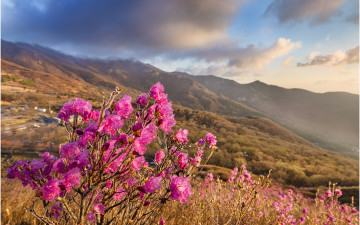 忍苦의 시간 !!!