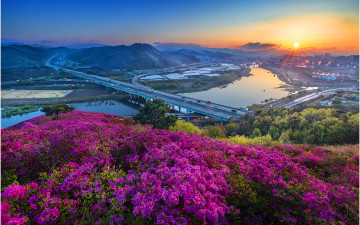 와룡산도 산이다 !!!