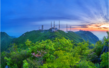 철쭉꽃 찾아 삼만리 !!!