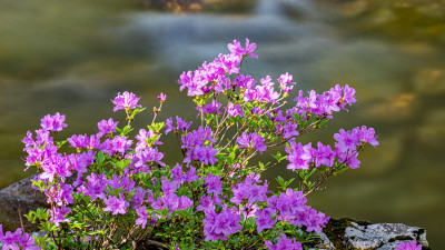 Image 128873