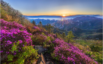 설악산 일출 !!!