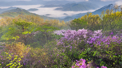 삼산, 안개 너머 기다림의 기