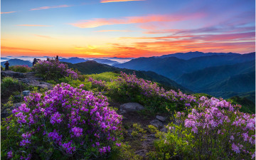 고리봉 여명이니뎌 !!!