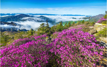 다시 그리운 설악산 !!!