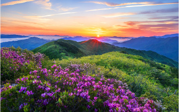 환희의 아침 !!!