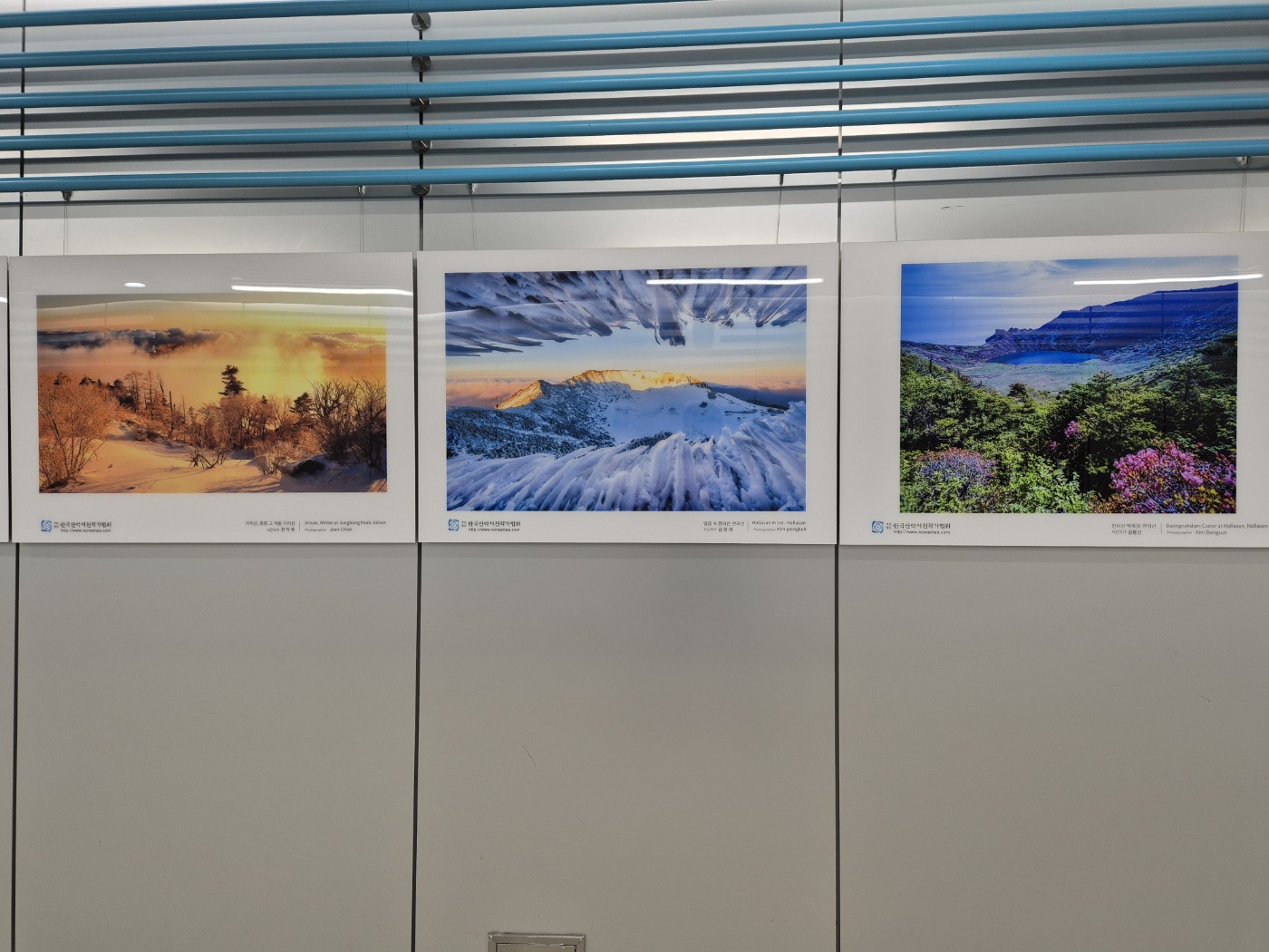 753f84404ad060c7f4bffbd467b4c83d_1751277526_725.jpg 753f84404ad060c7f4bffbd467b4c83d_1751277526_725.jpg