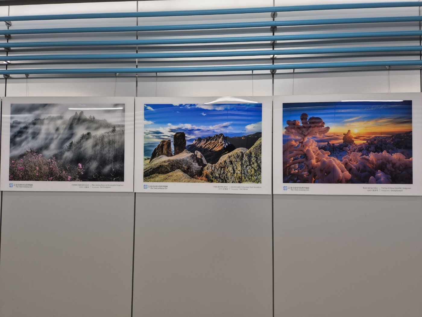 753f84404ad060c7f4bffbd467b4c83d_1751277526_8004.jpg 753f84404ad060c7f4bffbd467b4c83d_1751277526_8004.jpg