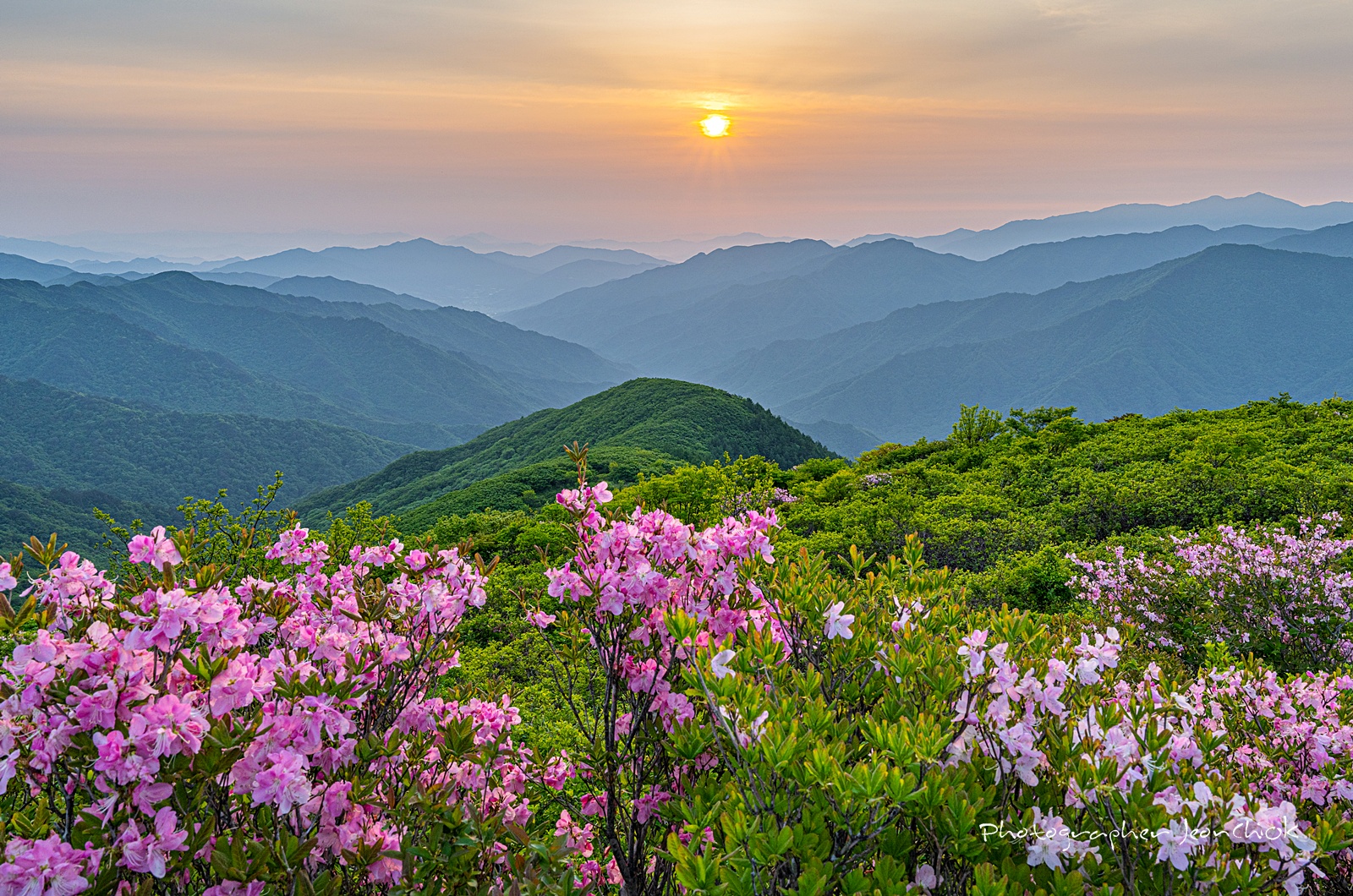 95e3b6aa8cb4db09fb3ff8019a11b0fb_1748927125_1538.jpg 95e3b6aa8cb4db09fb3ff8019a11b0fb_1748927125_1538.jpg