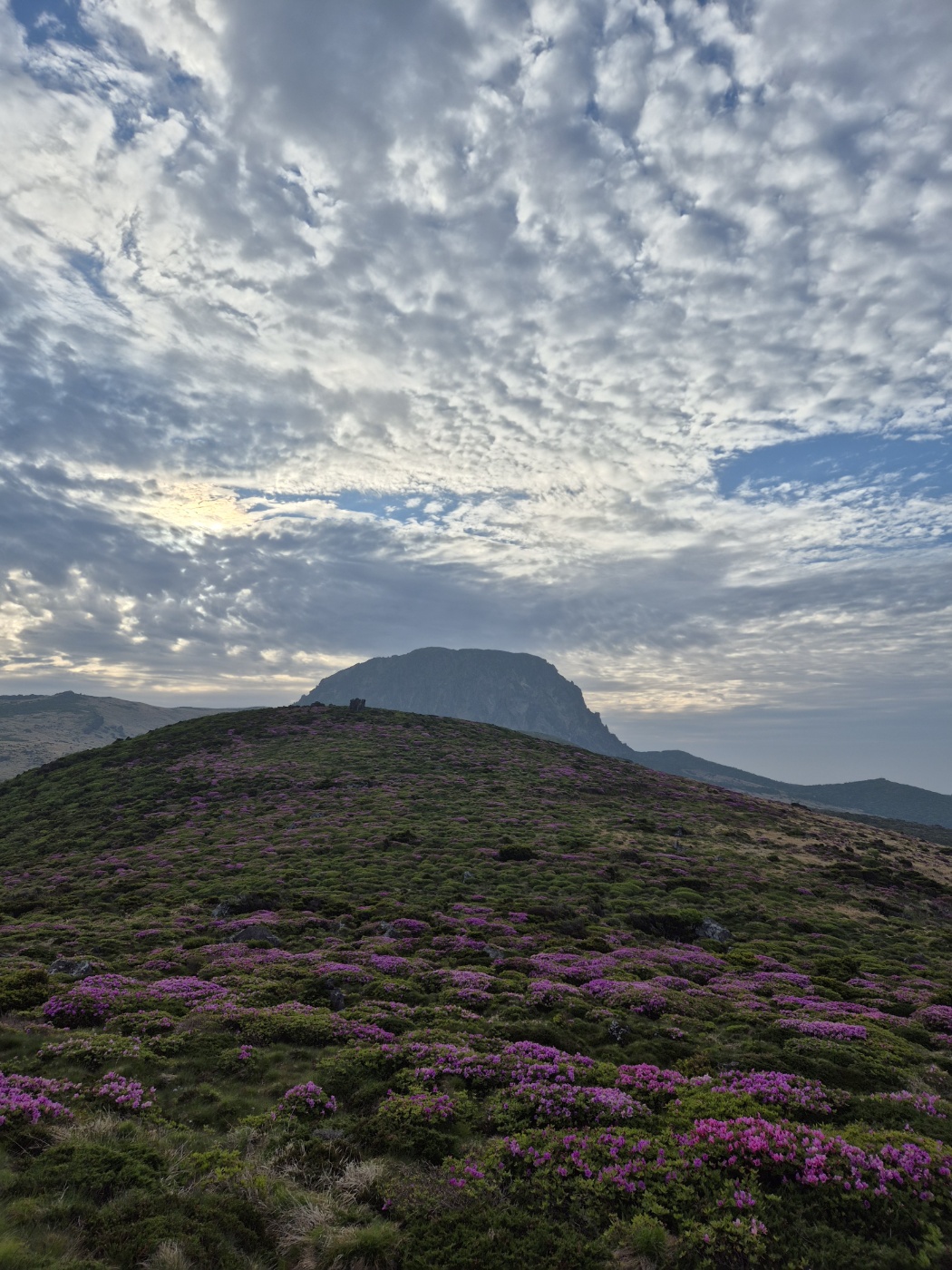 e7fe73b10a6c062e2a340a98d61ad33e_1749650940_6187.jpg e7fe73b10a6c062e2a340a98d61ad33e_1749650940_6187.jpg