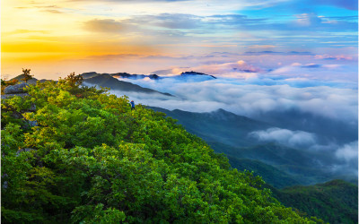 아듀~ 팔공산 !!!