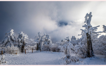 태백산_2024-02-26