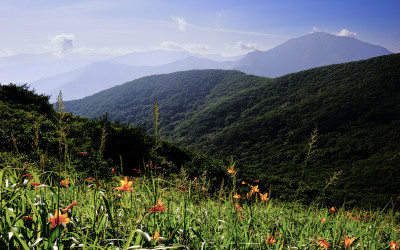 사라진 풍경(만복대 가는길)