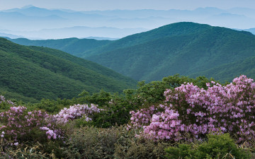 산사협 첫 출사 덕유산