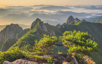 월출산, 오르다 그리고 머물다