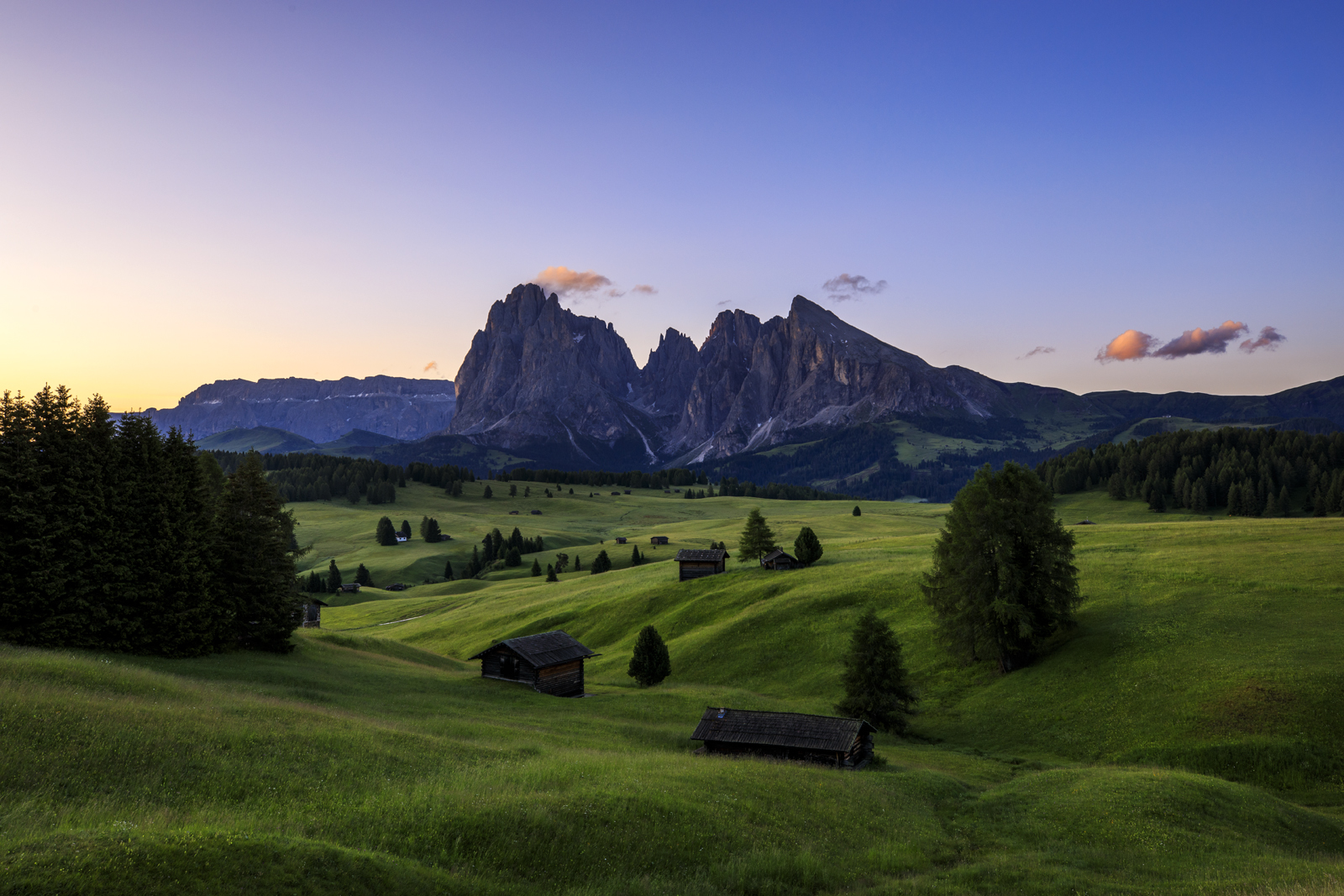 a1309747e0fe9226a23377e8866dc1e6_1752822742_3683.jpg a1309747e0fe9226a23377e8866dc1e6_1752822742_3683.jpg