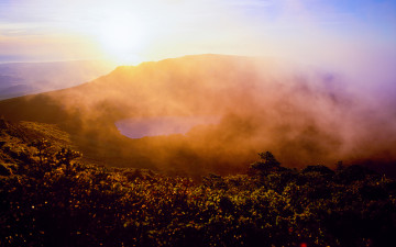 한라산의 여름-12