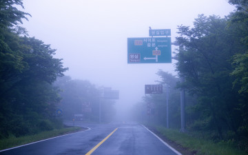 한라산의 여름-5