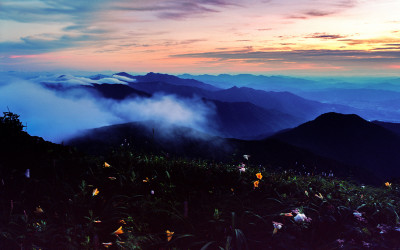 원추리  핀 풍경 - 덕유산