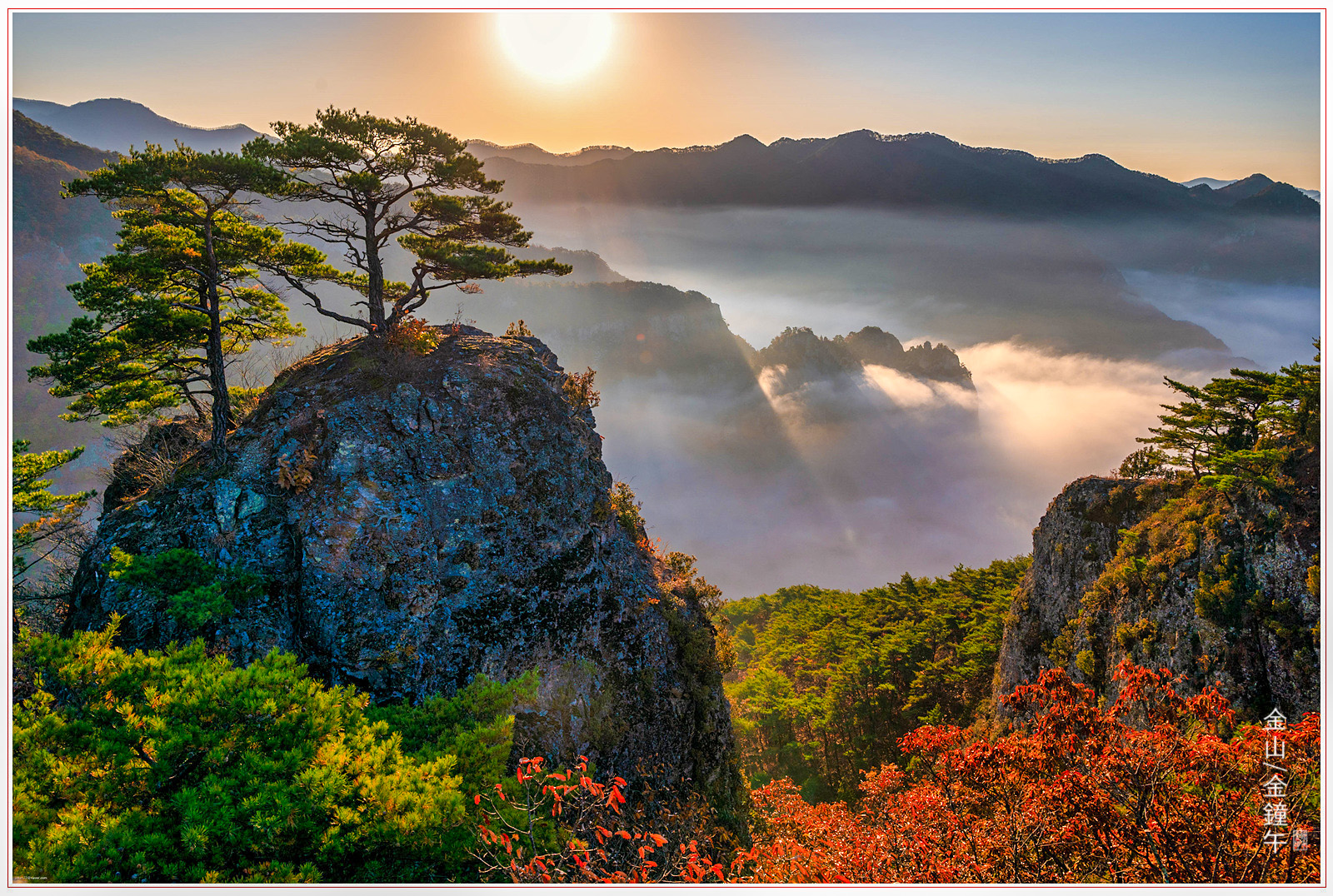 1a57f5779b09390bdec52b8d76715672_1754358434_4406.jpg 1a57f5779b09390bdec52b8d76715672_1754358434_4406.jpg