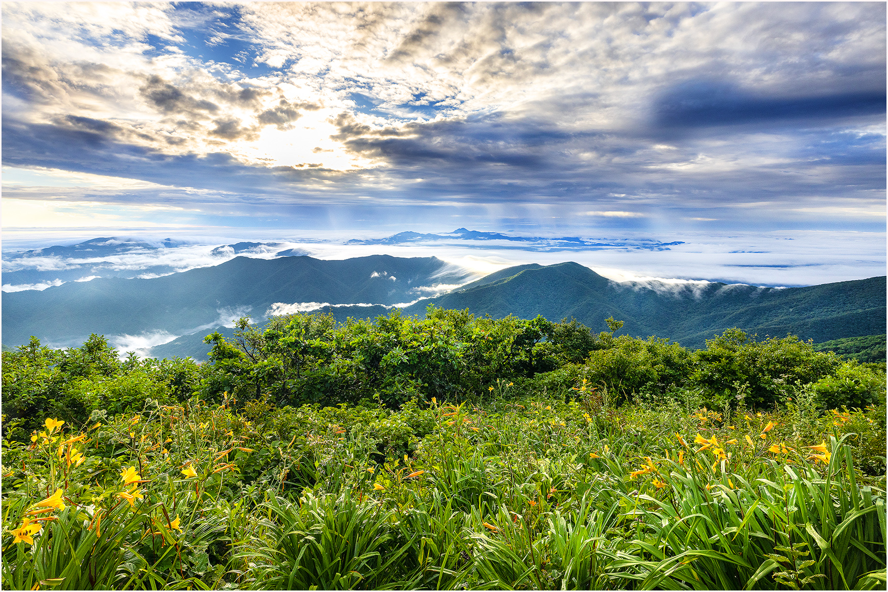 5e28076baa40ce0b6c255bd6d0412c83_1754813717_2942.jpg 5e28076baa40ce0b6c255bd6d0412c83_1754813717_2942.jpg