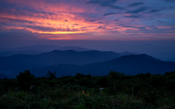 덕유의 여름 어침