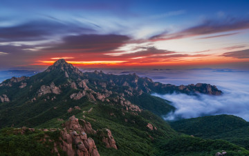 여름끝자락 그 여명