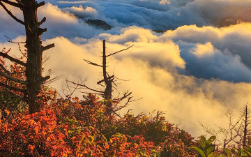반야봉, 기다림의 빛