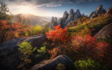 용아장성의 단풍