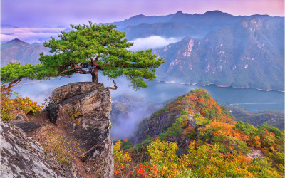 가을 제비봉 !!!