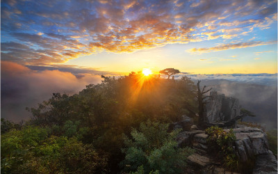 생애대 아침 !!!