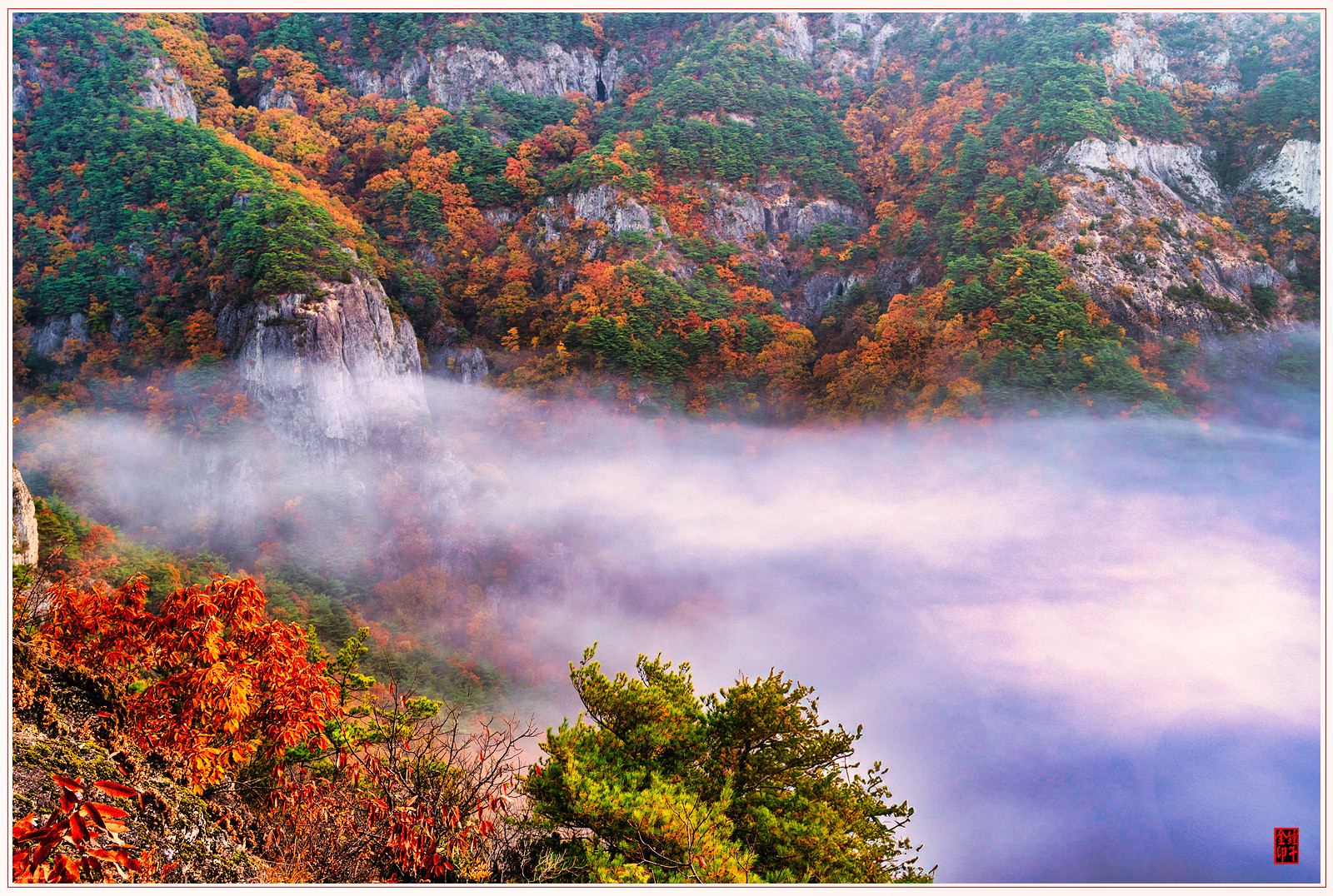 932d3b078c55b9ef11fbdb82f0b0cb00_1762496971_297.jpg 932d3b078c55b9ef11fbdb82f0b0cb00_1762496971_297.jpg