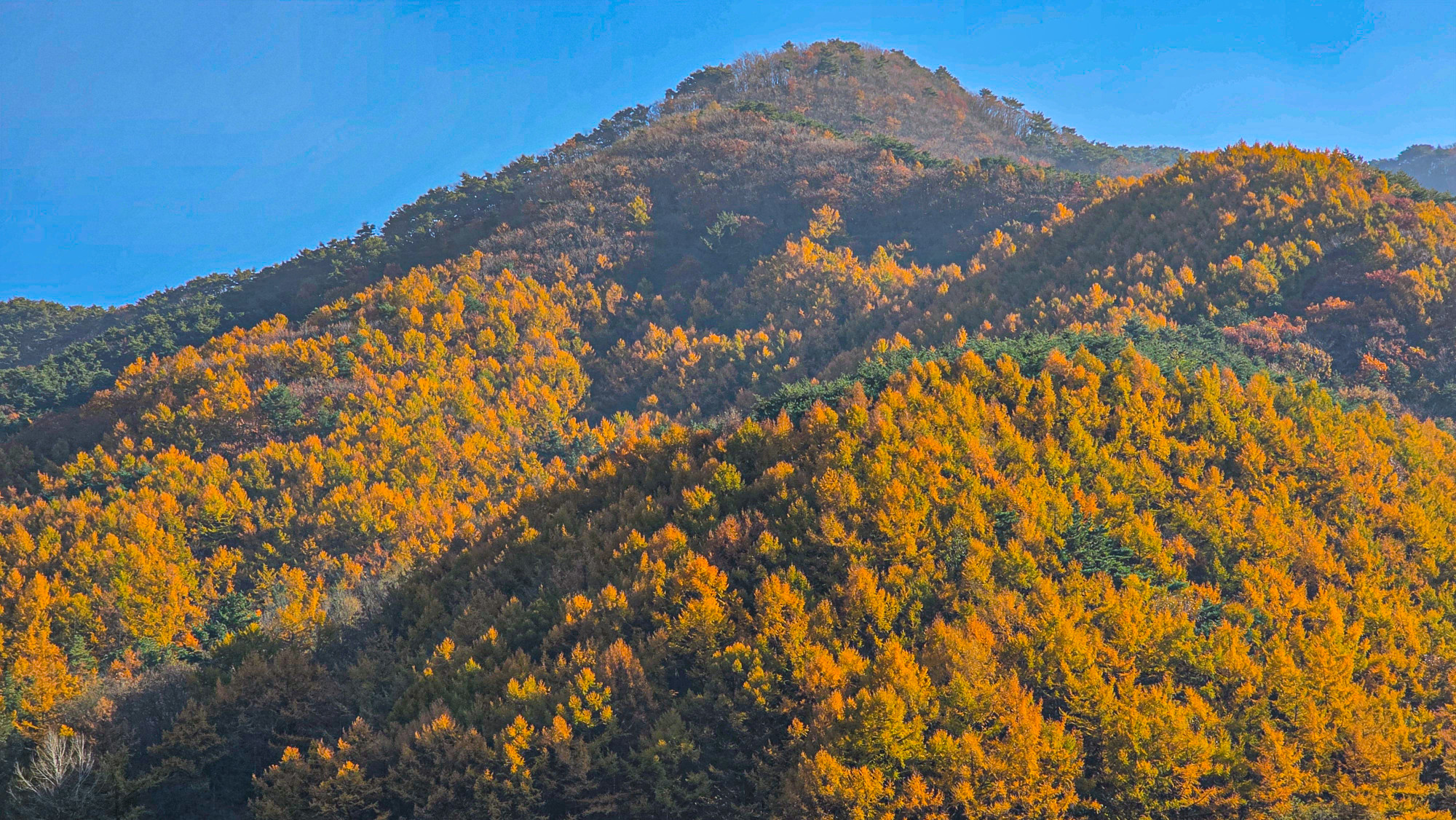 ba16bd26f2882c010214f9b9ff78563d_1763901778_5387.jpg ba16bd26f2882c010214f9b9ff78563d_1763901778_5387.jpg