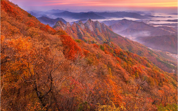 구봉산이어라 !!!