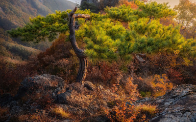 가을빛의 구봉산